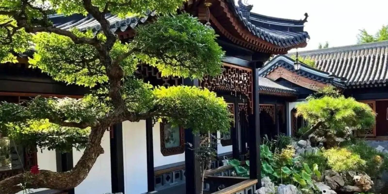 必一运动新闻资讯栏目配图