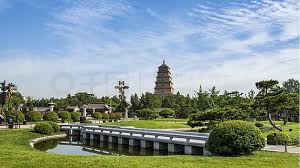 世界杯官网 江山城市绿化树木图片